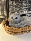 Vintage 1981 Realistic Grey Cat Kitten In Basket Figurine Sandicast Stunning 