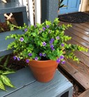  Artificial Boxwood Shrubs 6 Pack Faux Greenery For Indoor outdoor Decor 