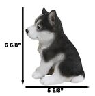 Ebros Lifelike Siberian Husky Sled Dog Puppy Sitting Figurine 6 75 h Animal Pet