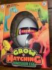 Lot Of 2 Grow   Hatching Dinosaur Egg - By A   A Global - New