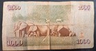 2010 Kenya 1000 Shillings P51e  Dd6325640 