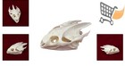 Real Turtle Skull Animal Skeleton Bone Specimen Educational Gift Science