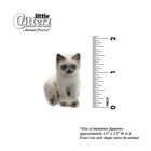 Little Critterz White - Ragdoll Kitten  samantha  - Miniature Porcelain Figurine