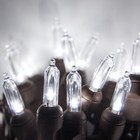 50ct Led White Christmas Lights Tree Mini String Lights  25 Ft Brown Wire