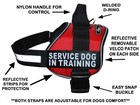 Doggie Stylz Service Dog In Training Harness Vest Nylon 2 Removable Patches Usa