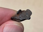 Odessa Texas Iab Iron Meteorite Tiny Complete Individual 3 04 Grams