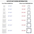 Foamily Throw Pillows Insert 20 X 20 Inches Hypoallergenic  Made In Usa - Dec   