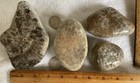 4 Petoskey Stones Unpolished Lake Michigan Coral Fossil Craft Jewelry 2 Lbs 13oz