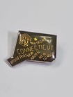 Connecticut Travel Souvenir Lapel Pin Major Cities Map Shape Green   Gold Colors