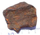 89 2 Grams Gebel Kamil As Found Iron Meteorite  ungrouped  From Egypt With A Coa