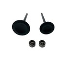 Intake Exhaust Valves W oil Seal For Hisun 400 500 Massimo 14711-002-0000