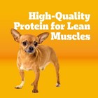 Dry Dog Food For Small Adult Dogs Grilled Steak And Vegetable Flavor 3 5 Lb Bag