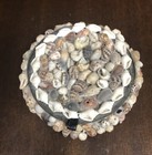 Seashell Trinket Box Souvenir Bahama Beach Vacation Black Felt Inside Boho