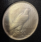 Dan Carr 1964-d Fantasy Token Peace Dollar  Die Pair 5