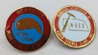 2 Vintage Pins  Nebraska Association Of Earth Science Clubs  Mineral   Gem Club 