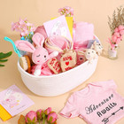 27-piece Baby Girl Shower Gift Basket Set - Newborn Essentials  Large Pink Gift 
