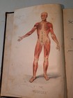 Antique 1894 Dunglison School Physiology Hygiene Book Medical Illustrated Werner