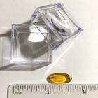 Baltic Amber With Caddisfly Insect Inclusion Includes 4x Magnifying Case And Coa