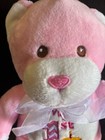 Dan Dee My 1st Birthday Plush Bear 12  Princess Pink Cupcake Stuffed Animal