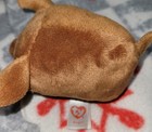 Ty Beanie Boos Lot Of Ten  Coconut  Salem  Sheldon  Dangler  Cobalt   More