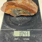 1lb 4oz Biggs Oregon Picture Jasper Lapidary Rough For Cabbing
