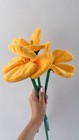 1 Cj Hendry Lemon Yellow Poppy