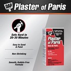 Dap 10308 4-pound Interior Plaster Of Paris   White  Assorted Sizes   Styles 