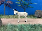 Elastolin By Preiser Donkey Standing  1 25 Scale Hand-painted Plastic  No  47040