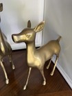 Vintage Brass Deer Pair Mcm 13 Inches Tall Mid Century