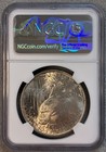 1924 Peace Dollar  1 Ngc Ms62