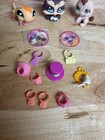 Lps Littlest Pet Shop Hasbro Purse And Animal Lot
