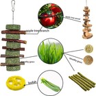  20 Pcs Bunny Chew Toys For Teeth  Natural Rabbit Toys Apple Wood Grass Timothy