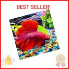 Keedolla Colorful Clear Sea Glass Pebbles Aquarium Gravel Fish Tank Rocks Small 
