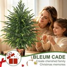 2ft Small Norfolk Pine Tree With Pot  Table Top Christmas Tree - 2ft-1pcs