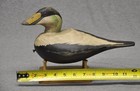 East Coast Style Common Eider Drake Duck Decoy Carved Painted Eyes Wmw   p  Aged