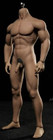 2 X 1 6 Huge Genitals Penis For 1 6 Male Body Phicen M31 M30 M32 M33 M34 Usa