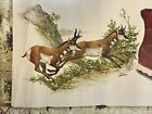 Vintage 1950   s Frederick Sweney Red Wing Shoes Irish Setter Sports Boot Poster