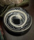 Snake Skeleton In Resin  Black Dome  Oddities  Enhydris Chinensis - Gothic