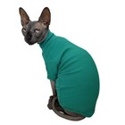 Green Sphynx Cat Shirt Clothes Turtleneck M  5 5-6 6 Lbs   Peacock