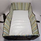 Eddie Bauer Portable Infant Travel Bed Bassinet Changing Station Shoulder Strap
