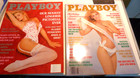 Playboy Magazine 1991 Year -w  Centerfolds  Lot Of 10