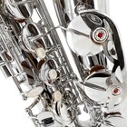 Tenor Saxophone B Flat For Beginners Sax Full Kit With Pads Cushions Hard Case