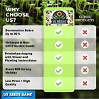 250  Organic Broccoli Microgreen Seeds   Heirloom   Non-gmo   Seed For Sprouting