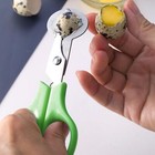 Quail Roast Egg Scissors Eggshell Scissors Eggshell Opening Divider Scissors Lot