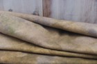 Soft Earth Hand Dyed Rug Hooking Wool  Over 1 8 Yard Nuetral Tan Spotted Cur