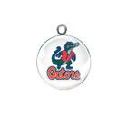 Florida Gators Glass Cabochon Charms