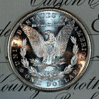   1881-s   Choice To Gem Bu Ms Morgan Silver Dollar   From Original Bank Bag  