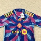 Adidas Toronto Fc Jersey Womens Large Pink Blue New Hz2027
