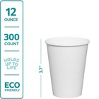  12 Oz - 100 Pack Paper Hot Cups  Coffee Cups - White  formerly Comfy Package 