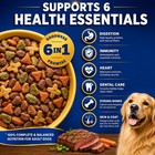Pedigree High Protein Dry Dog Food For Adult Dogs  Grilled Steak   Vegetable Fla